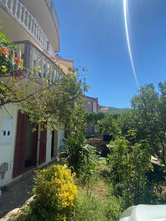 Sunny Apartment Budva